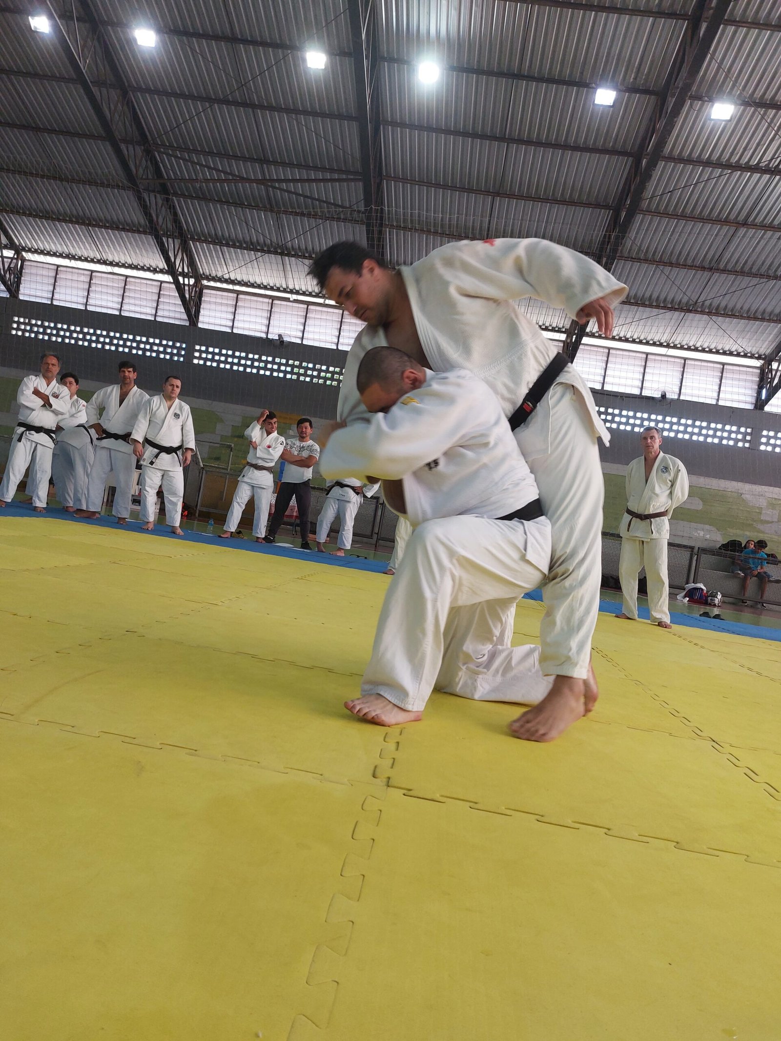 Judô — Bushikan Dojo